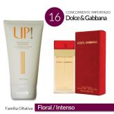 dolce & gabbana